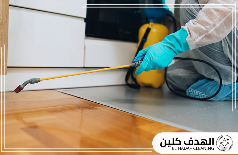شركة ابادة حشرات بالقطيف