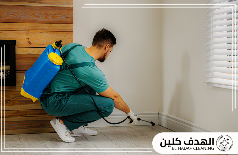 طرق مكافحة الحشرات بالقطيف