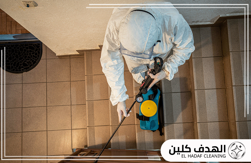 خدمات مكافحة الحشرات المنزلية بالقطيف