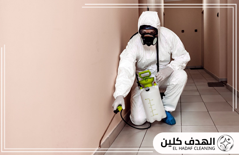 مكافحة الفئران والقوارض بالقطيف