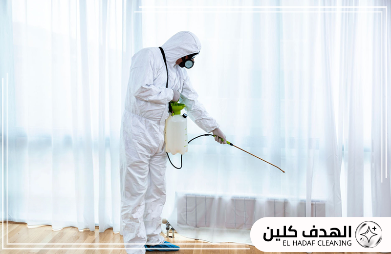 أفضل شركة ابادة حشرات في القطيف